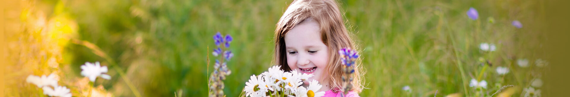 about-header about-header